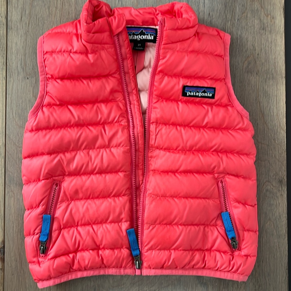 Patagonia Toddler Puffy Vest